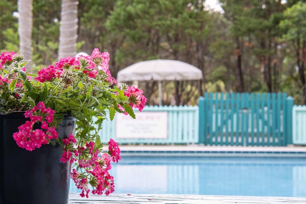 Steinhatchee River Inn photo 34