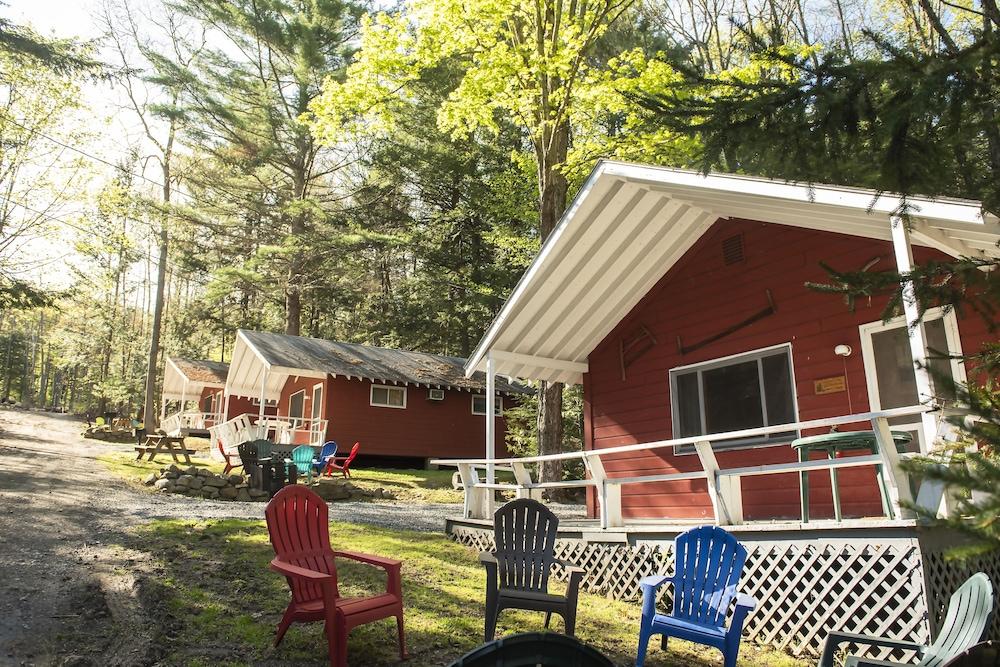 Forest Hill Lodge & Cabins photo 5
