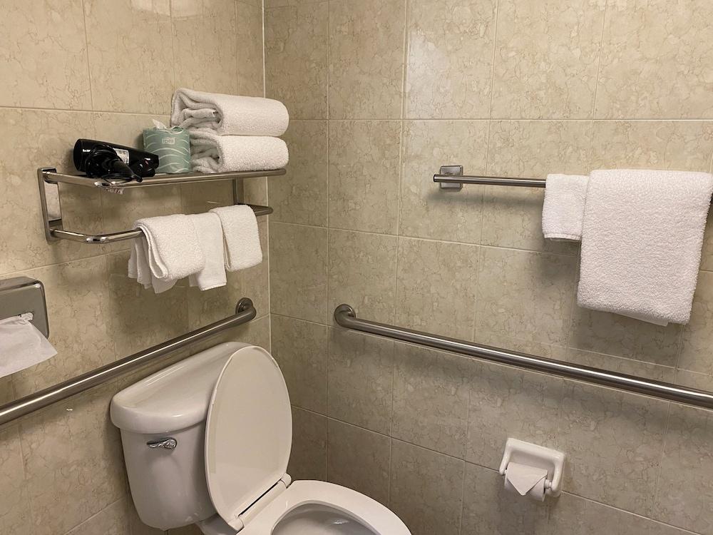 Hotel Indigo Detroit North – Troy by IHG photo 40