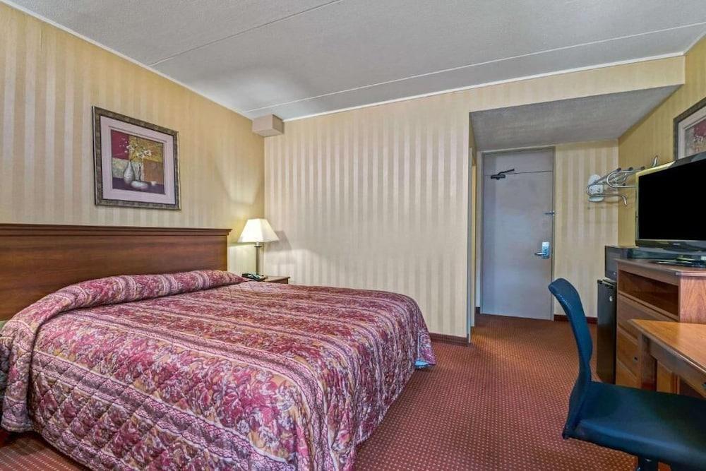 HomeSpring Inn & Studios photo 5