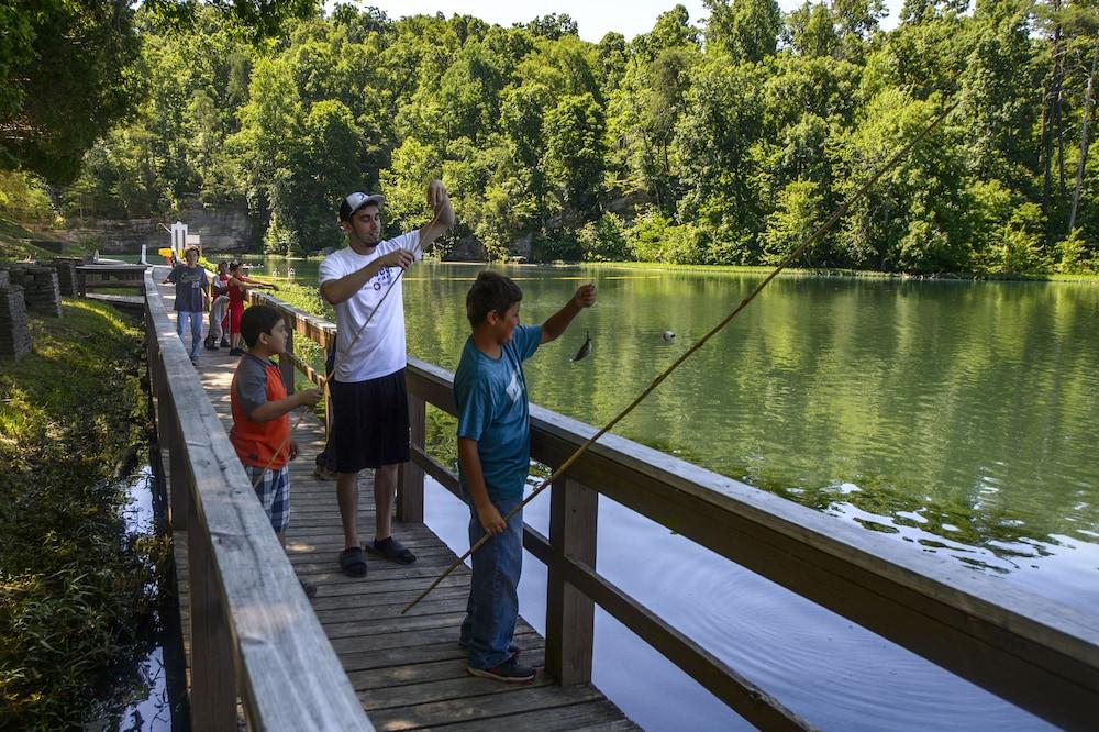 Pennyrile Forest State Resort Park photo 18