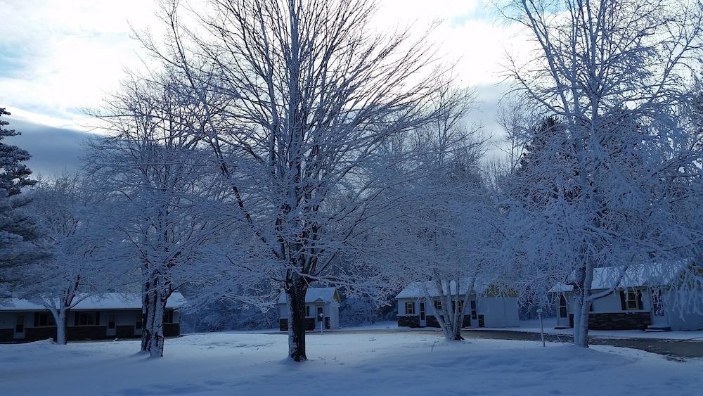 Sunshine Motel and Cabins photo 15