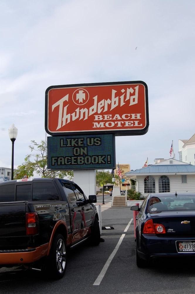Thunderbird Beach Motel photo 14