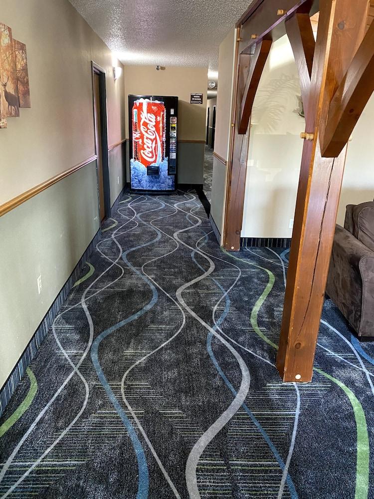 Woodlands Inn & Suites photo 10
