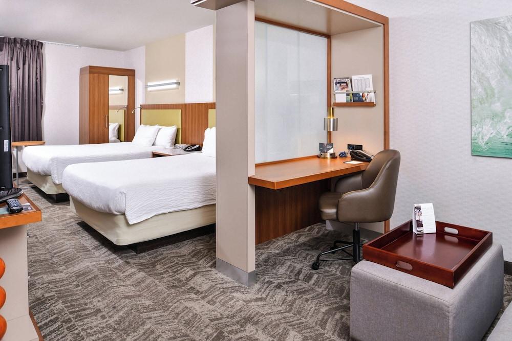 Springhill Suites by Marriott Temecula Wine Country photo 24
