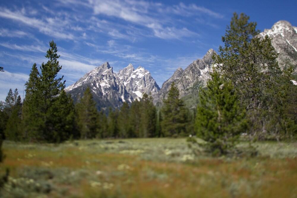 Jenny Lake Lodge photo 10