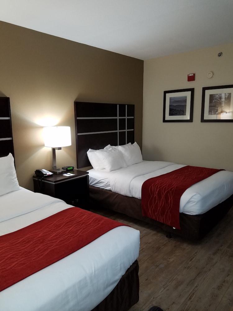 Comfort Inn North of Asheville photo 12