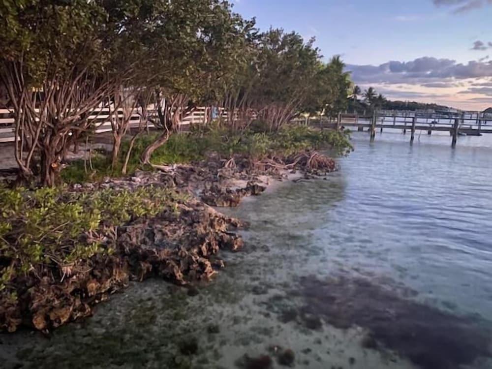 Bahia Bay Resort photo 17