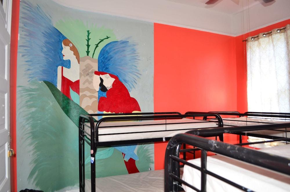 India House Backpackers Hostel photo 77