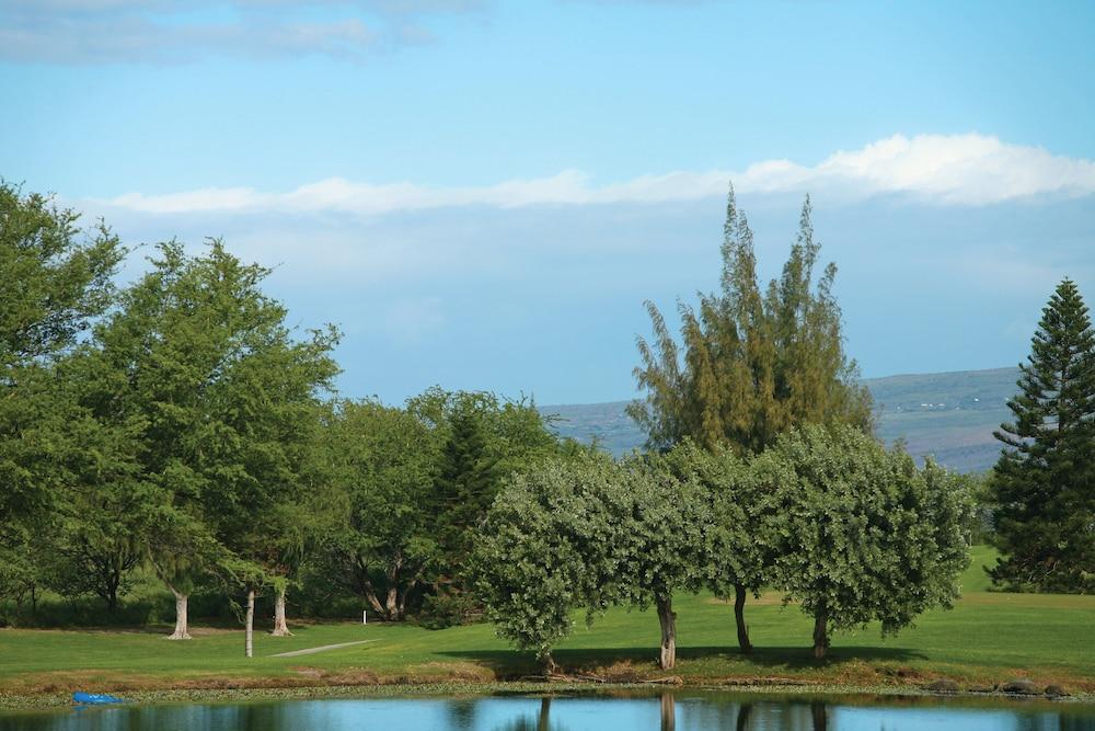 Paniolo Greens At Waikoloa photo 38