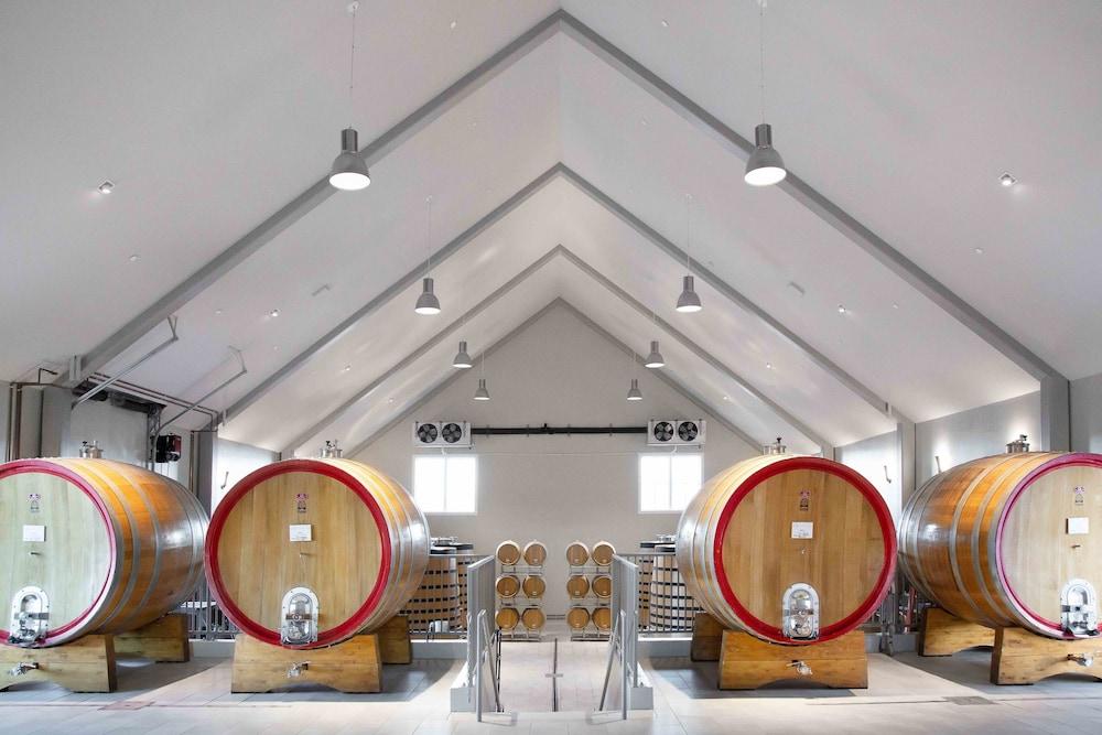 Ponte Vineyard Inn photo 22