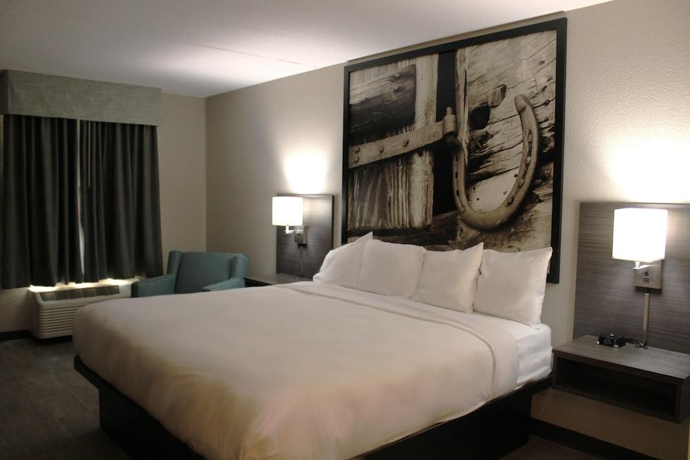 Boarders Inn & Suites photo 31