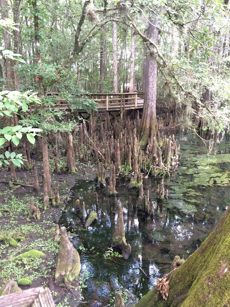 Steinhatchee River Inn photo 56