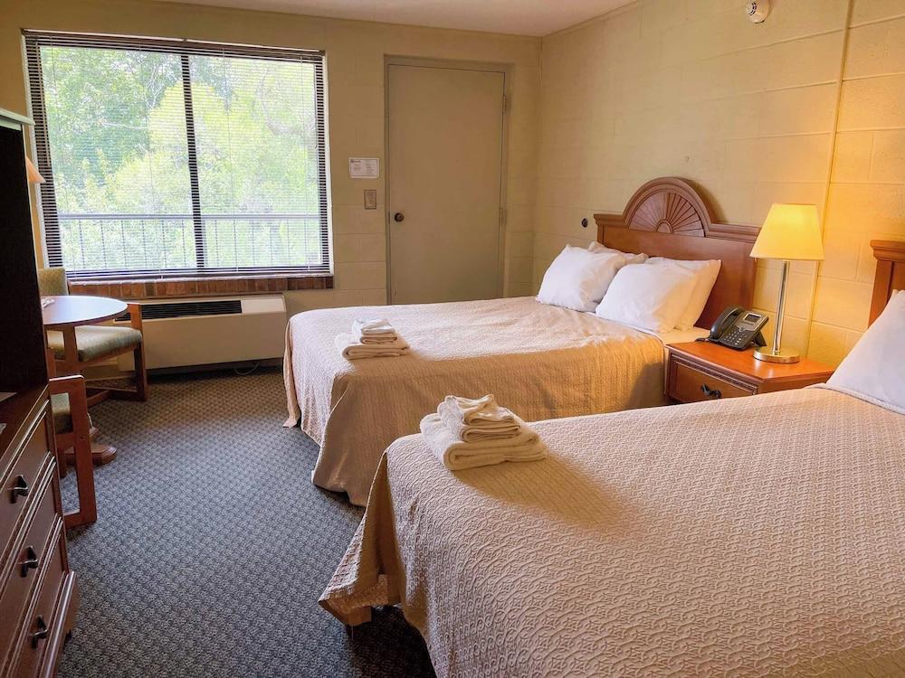 Hillside Lodge photo 6