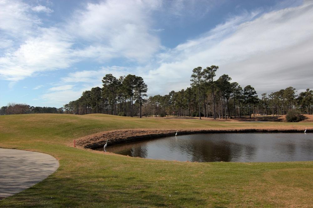 World Tour Golf Resort photo 28