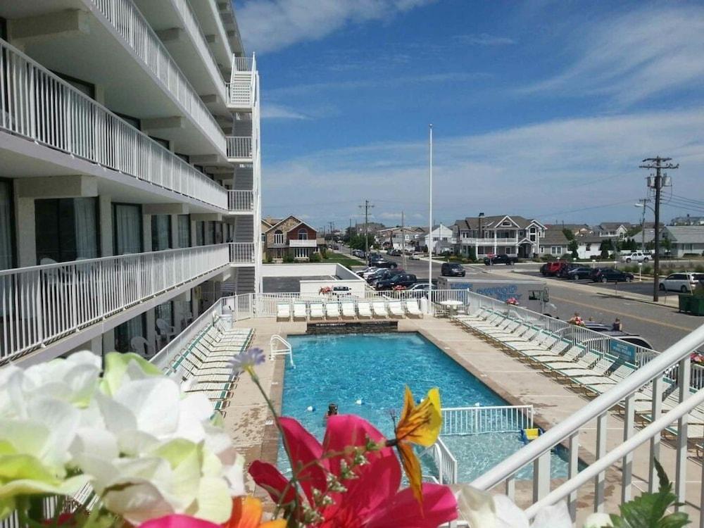 Lotus Inn photo 16