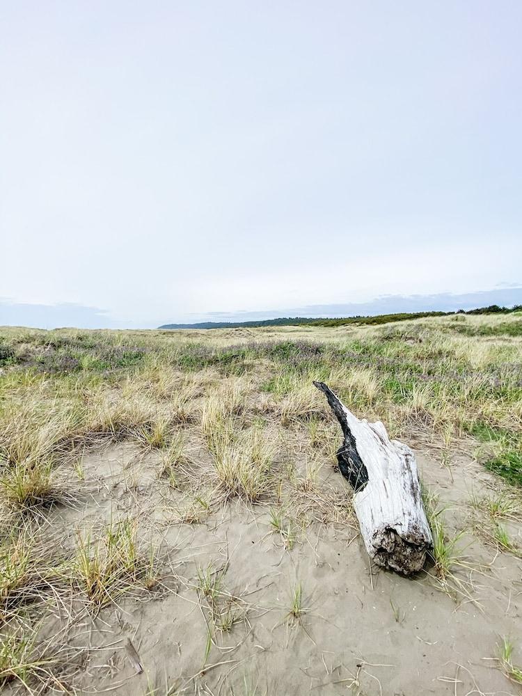 Pacific Dunes Resort photo 56