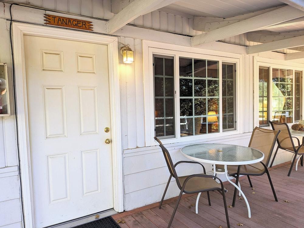 Bluebird Cottage Inn photo 2