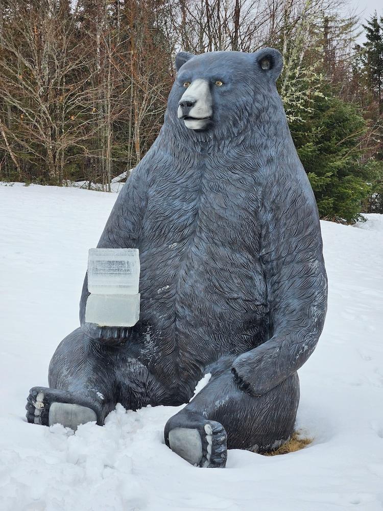 Bear Mountain Lodge photo 24