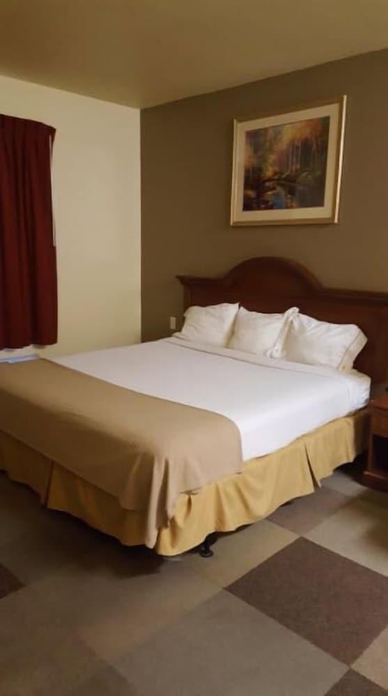 Reddy Hotel photo 5