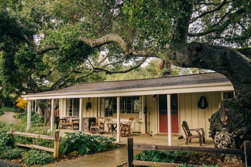 Holman Ranch Estate Vineyard & Winery photo 8