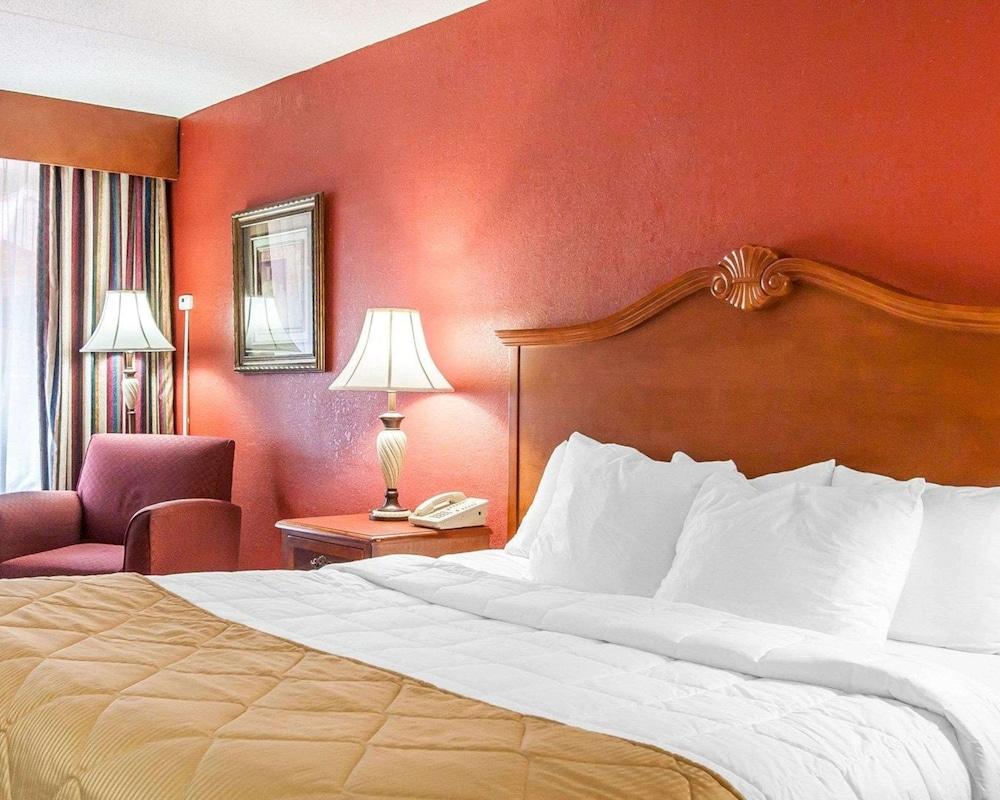 Clarion Inn & Suites University Center photo 10