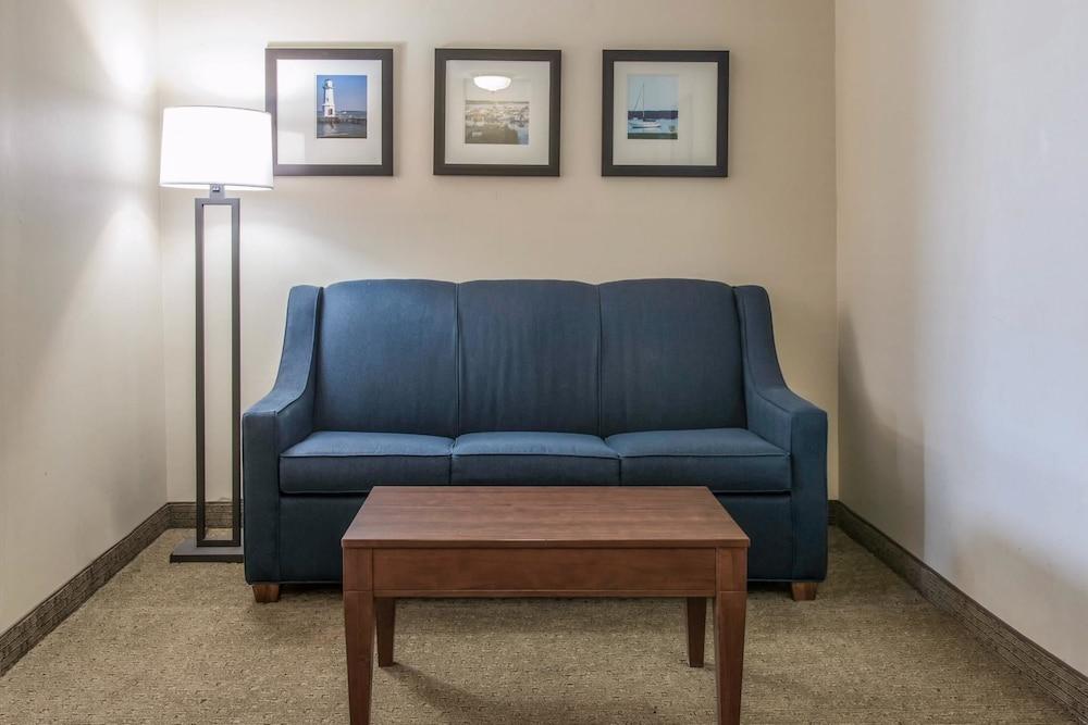 Comfort Suites Wixom - Novi photo 13