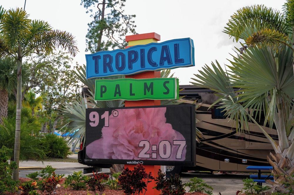 Tropical Palms Resort photo 40