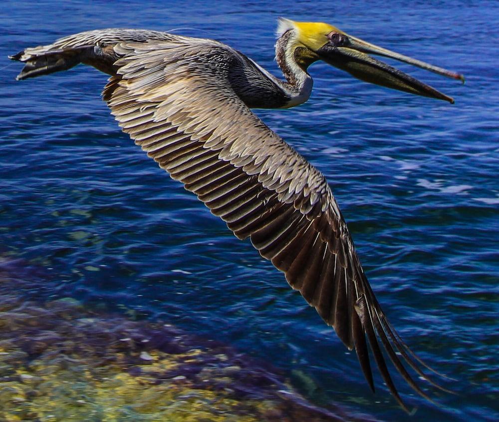 Florida Bay Club photo 8