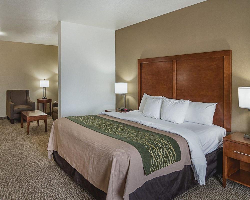 Comfort Inn Midland South I-20 photo 20