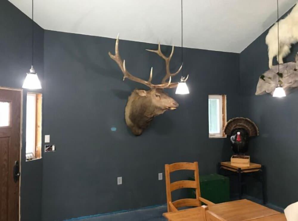 The Last Resort Lodge photo 16