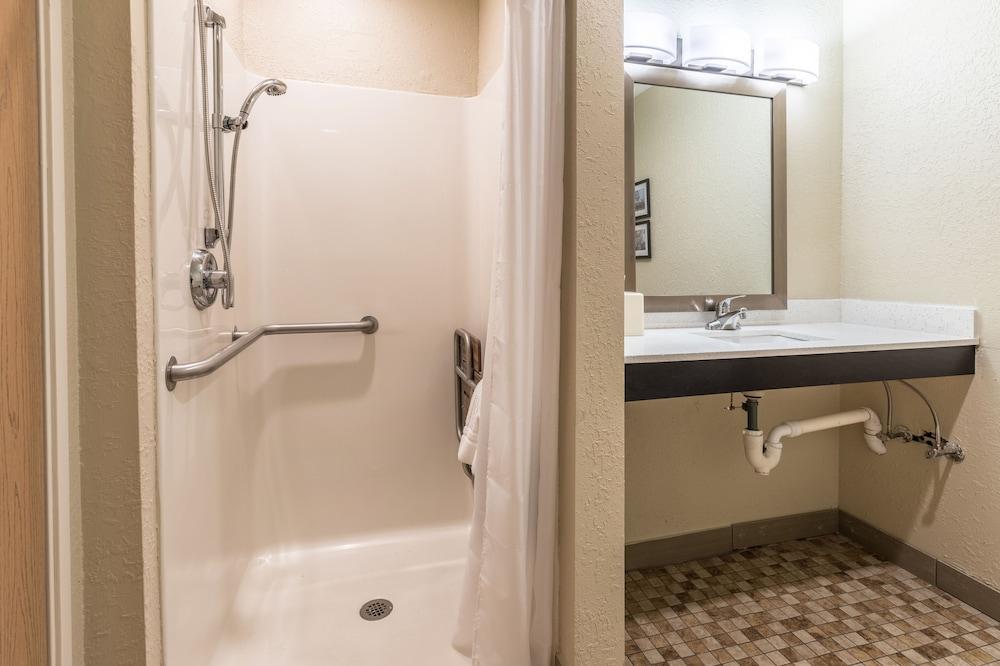 Comfort Inn Detroit Downtown photo 27