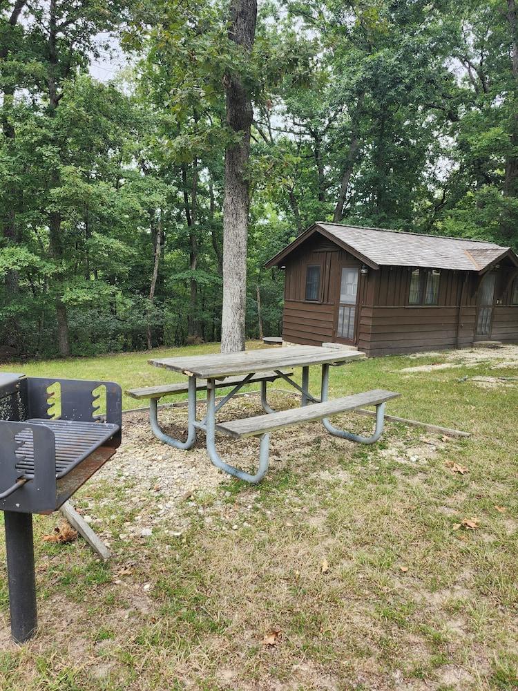 Pin Oak photo 20