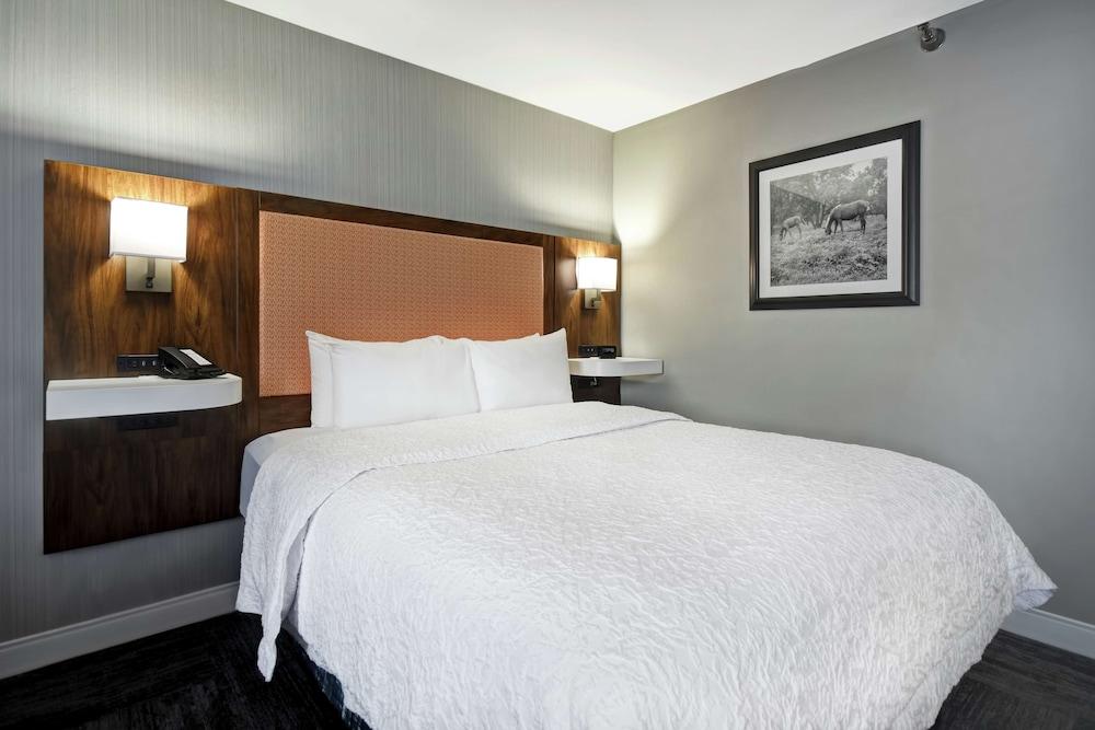 Hampton Inn I-75 Lexington/Hamburg Area photo 29