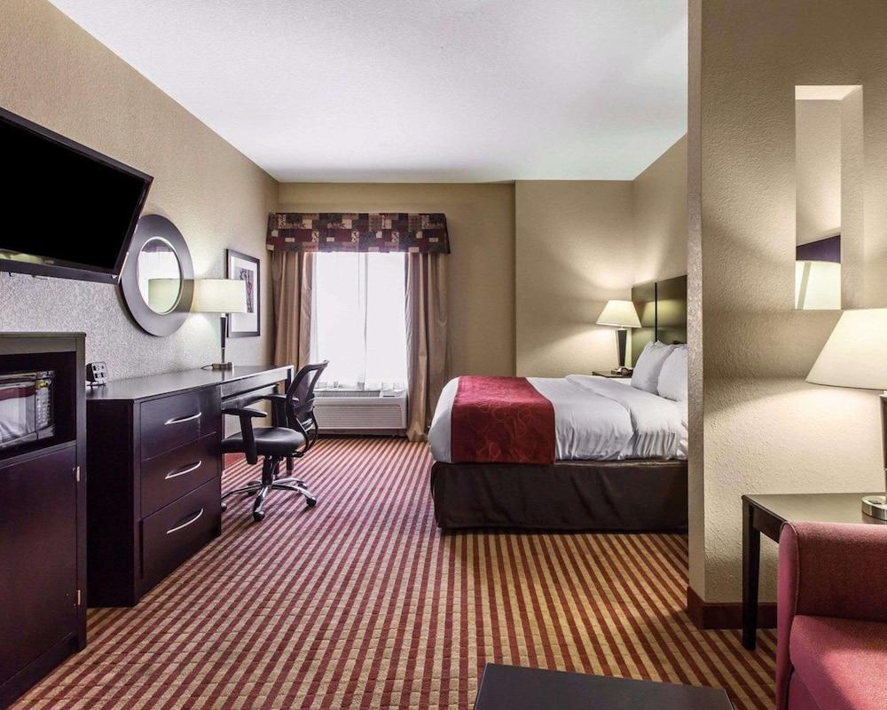 Comfort Suites Waycross photo 6