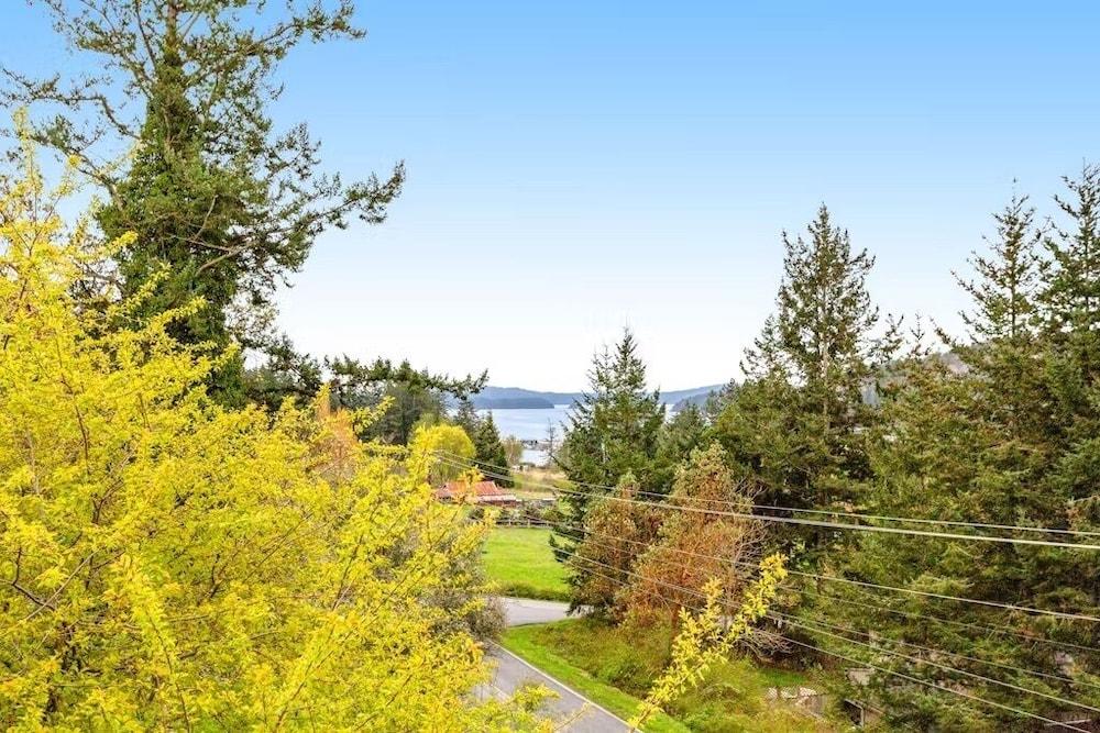 Deer Harbor Cottages photo 57