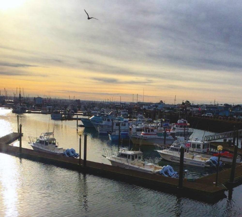 Islander Westport photo 8