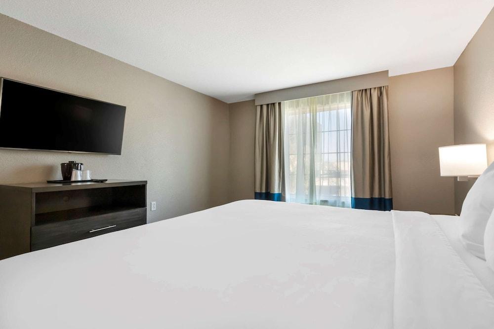 Comfort Inn and Suites Near Medical Center photo 15