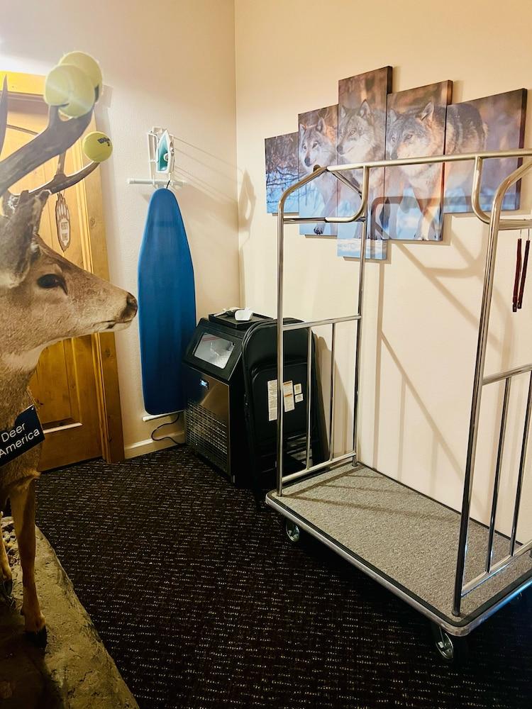 Grizzly Lodge Motel photo 28