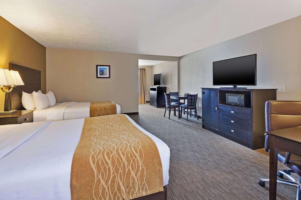 Comfort Inn Whitehall near Michigan's Adventure photo 15