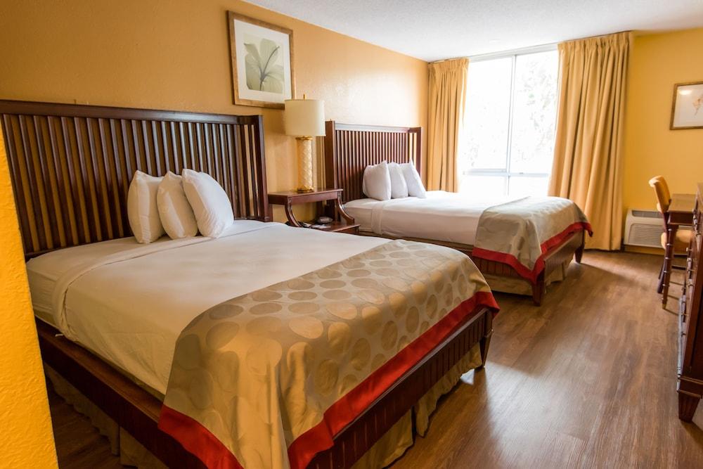 B&B Hotel Orlando International Drive Near Universal - Newly Renovated! photo 14