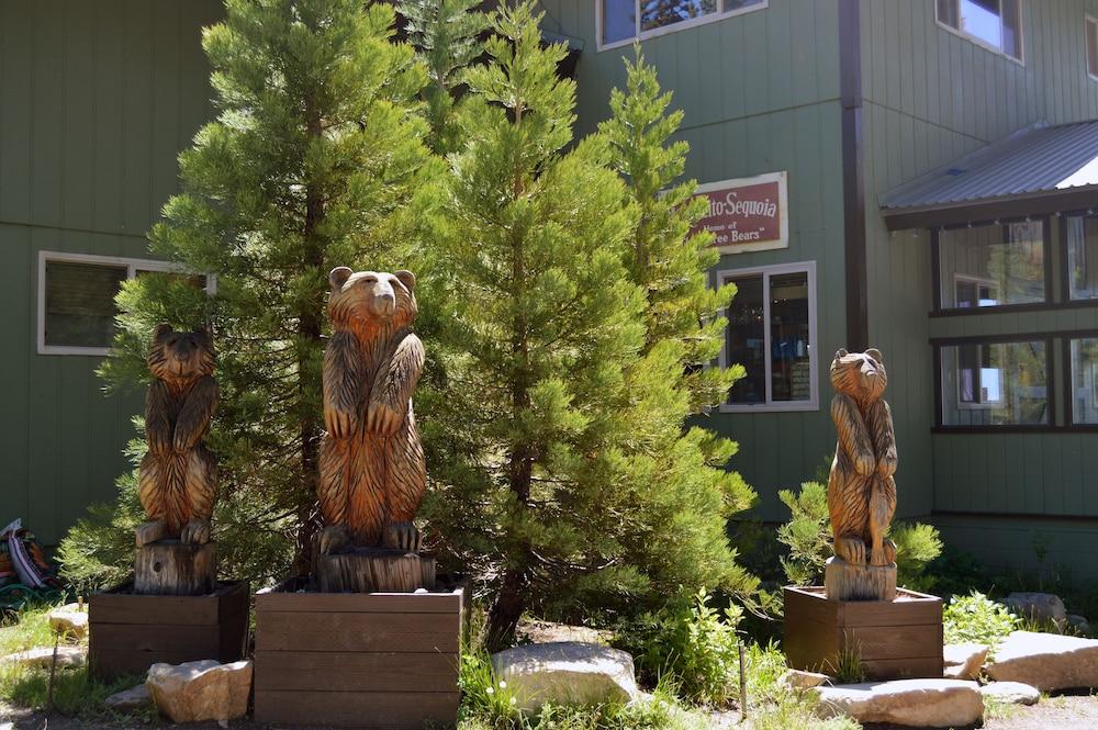 Montecito Sequoia Lodge photo 67