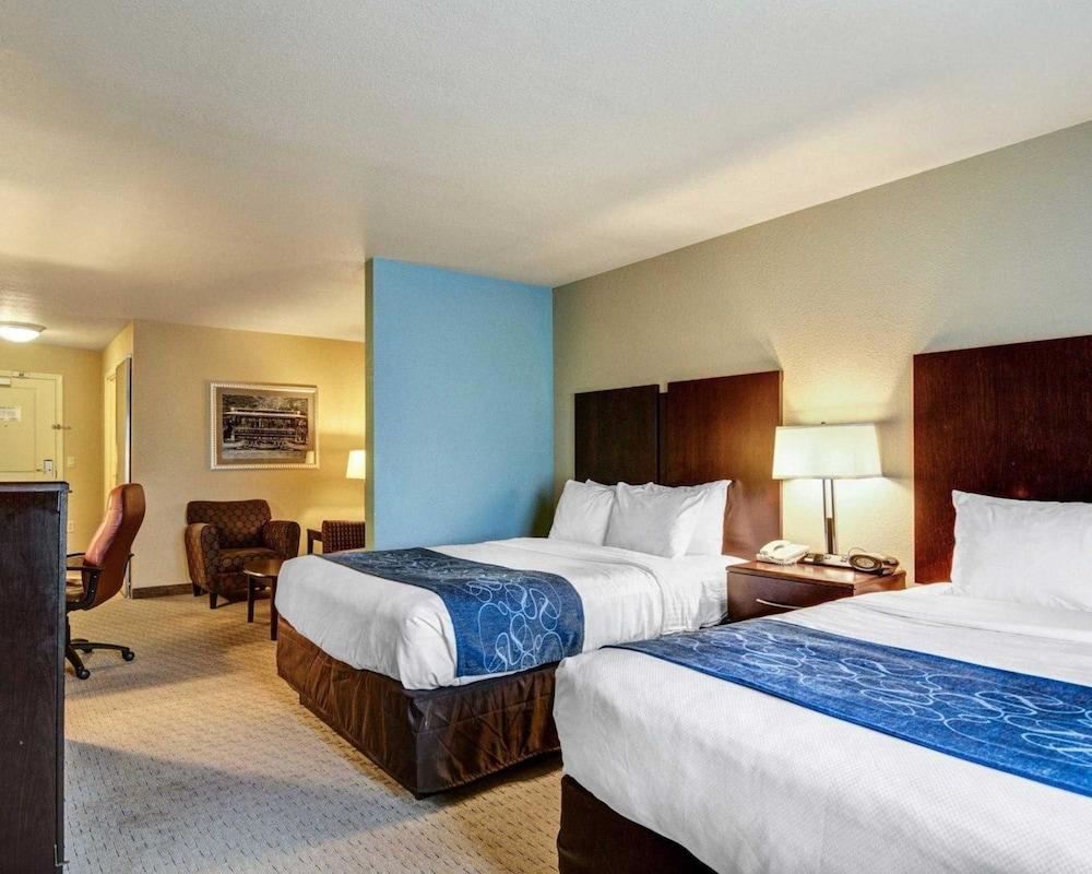 Comfort Suites near Hot Springs Park photo 13