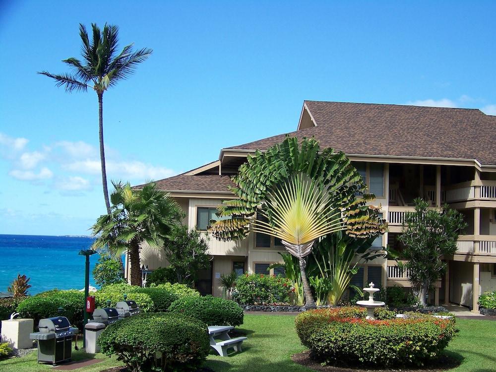 Sea Village photo 25