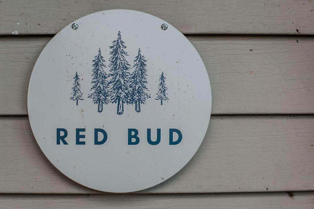 Camp Tidbit photo 11