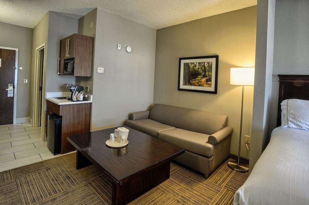 Holiday Inn Express Hotel & Suites Pell City by IHG photo 88