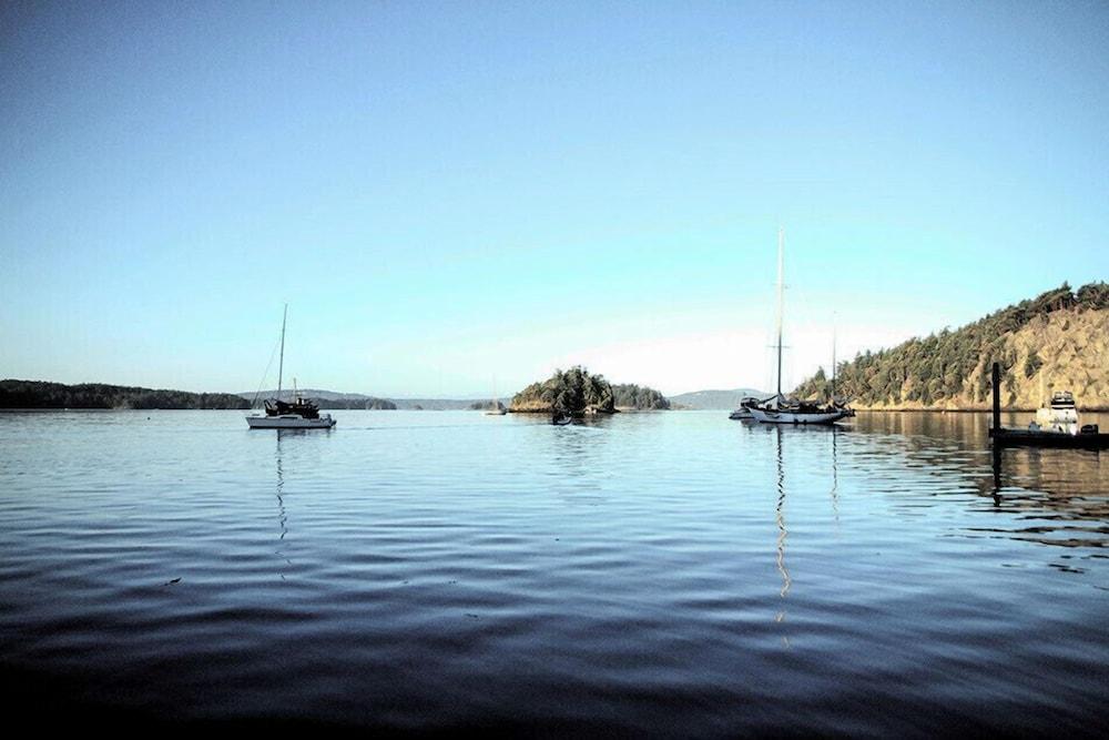 Deer Harbor Cottages photo 40