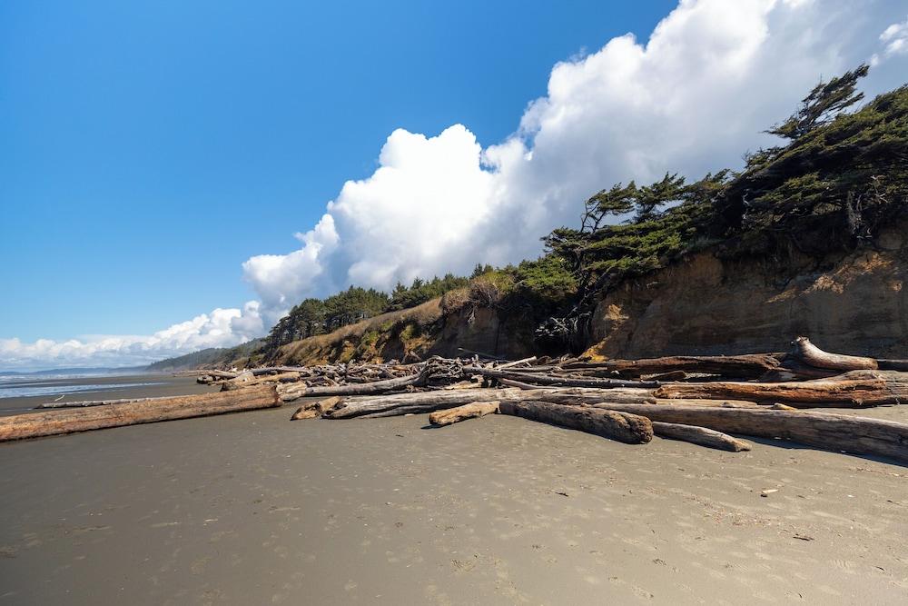 Kalaloch Lodge photo 43