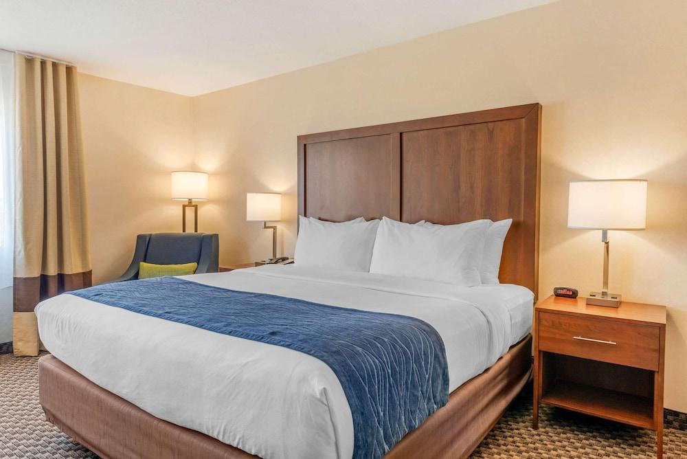 Comfort Inn & Suites near Route 66 photo 5