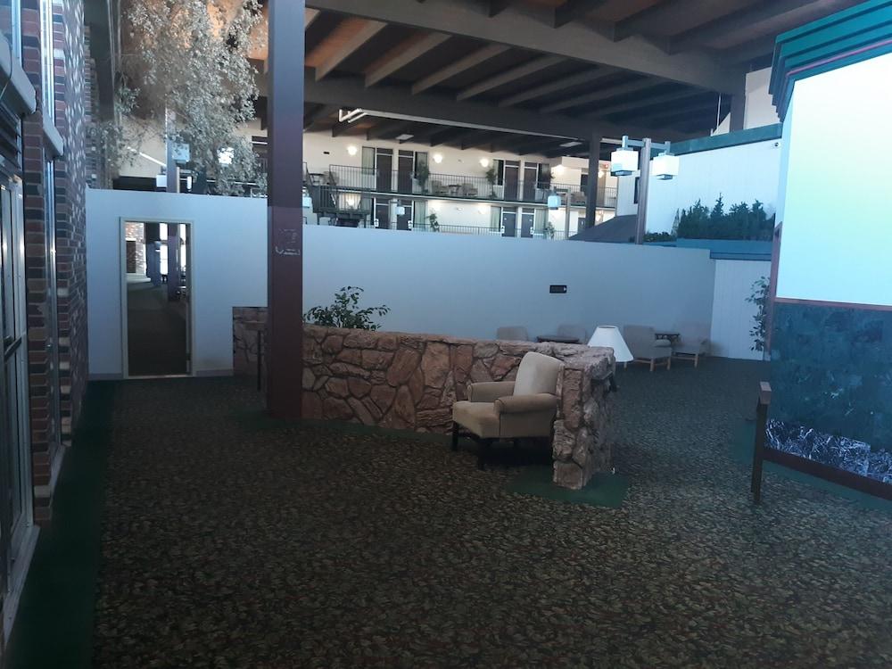 The Vegas Motel photo 20